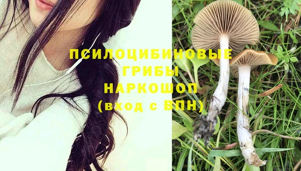 mdma Заводоуковск