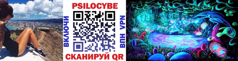 Купить  Иннополис  Псилоцибиновые грибы Psilocybine cubensis 